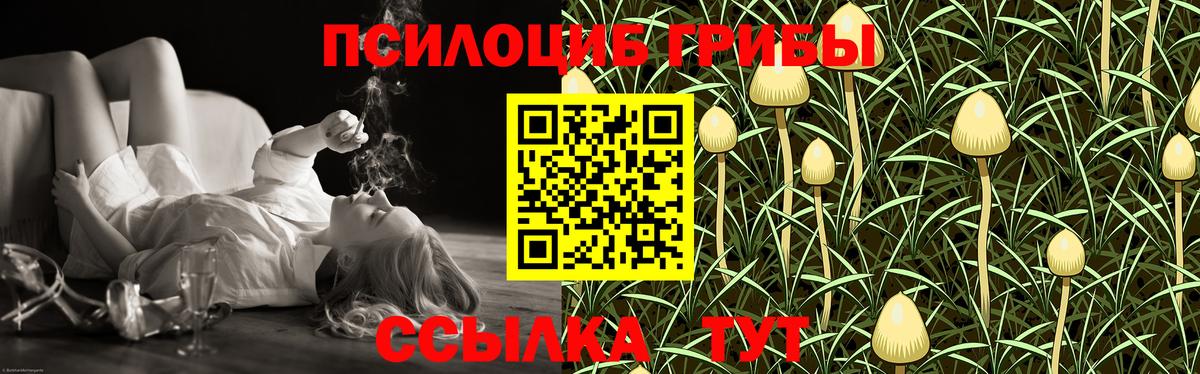 Самара  Галлюциногенные грибы Psilocybine cubensis  Вход с VPN 