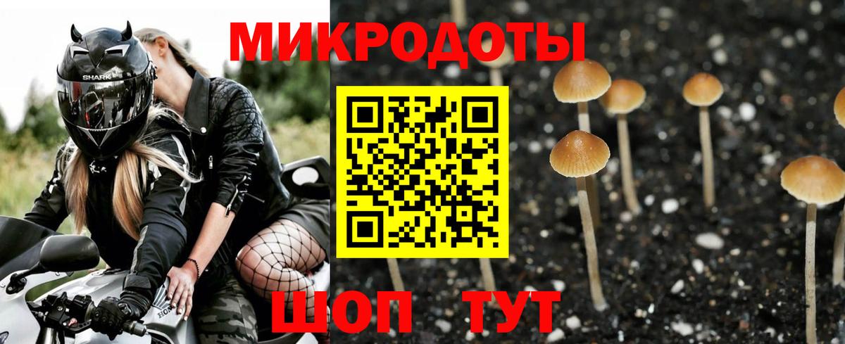 Галлюциногенные грибы мицелий Самара
